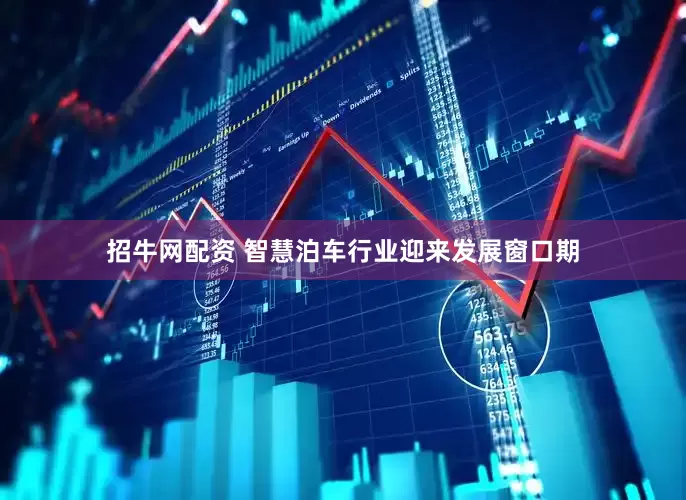 招牛网配资 智慧泊车行业迎来发展窗口期