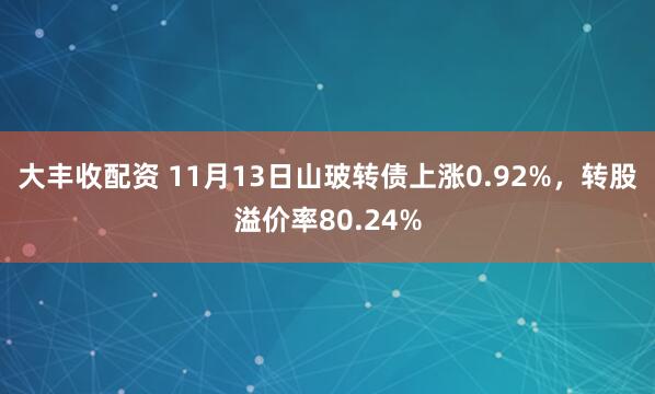 大丰收配资 11月13日山玻转债上涨0.92%，转股溢价率80.24%